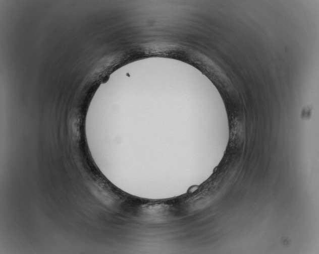X0000101230452200807251138