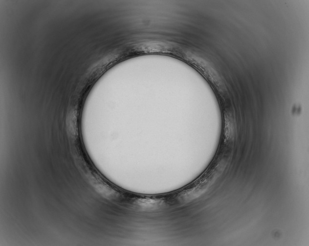 X0000101230453200807251138