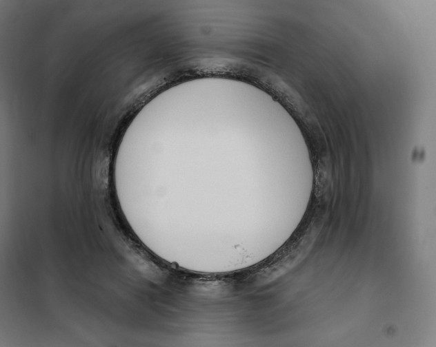 X0000101230454200807251138