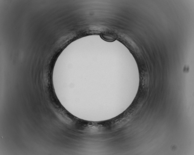 X0000101230455200807251138