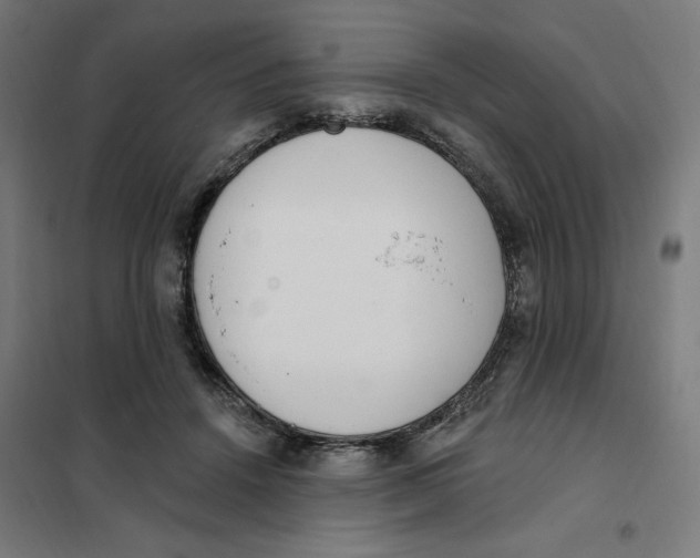 X0000101230456200807251138