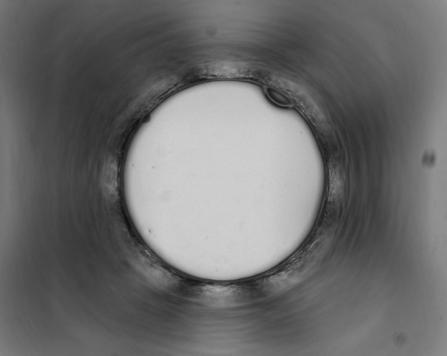 X0000101230457200807251138
