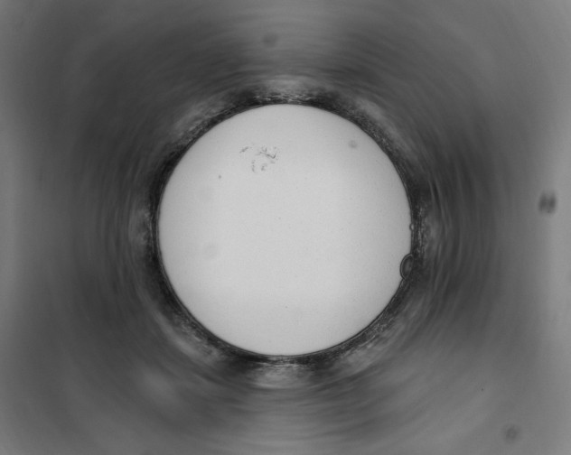 X0000101230459200807251138