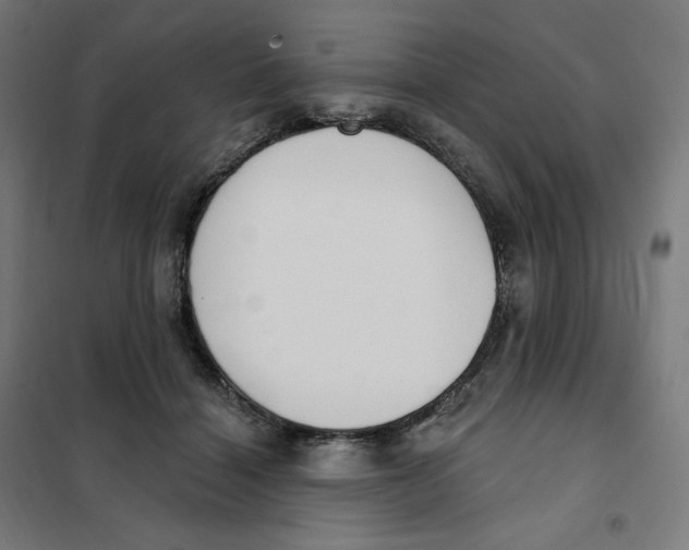 X0000101230460200807251138