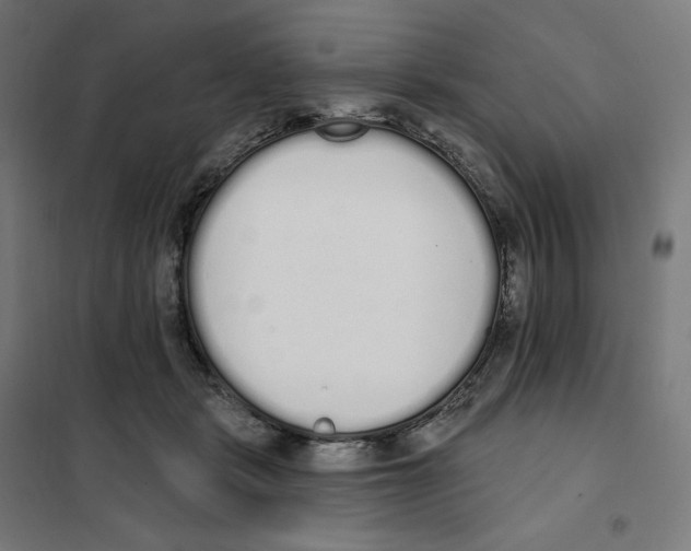 X0000101230461200807251138