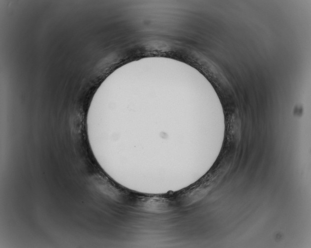 X0000101230463200807251138