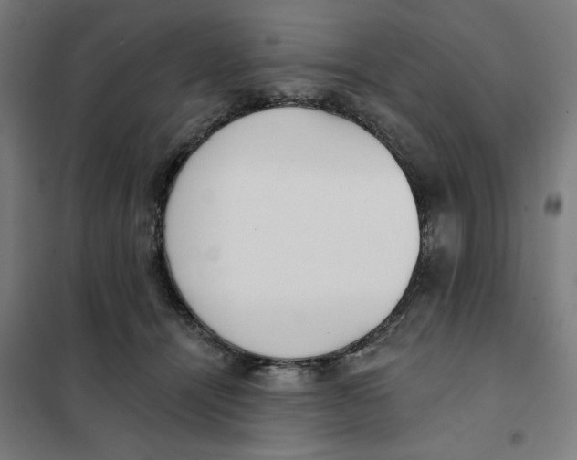 X0000101230464200807251138
