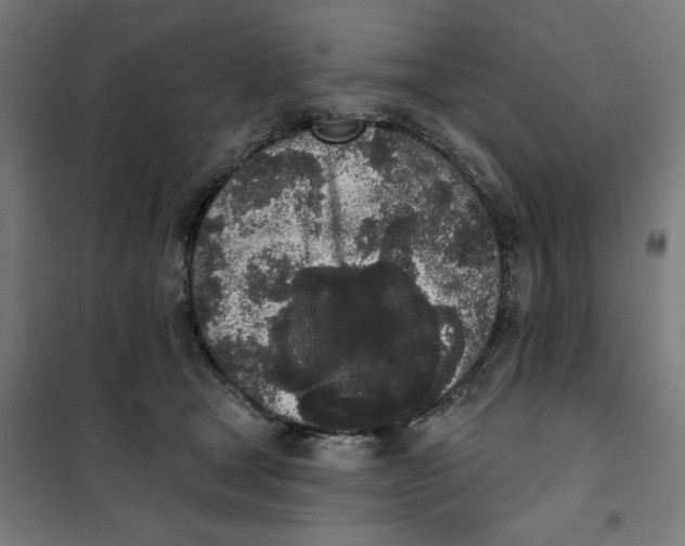 X0000101230465200807251138