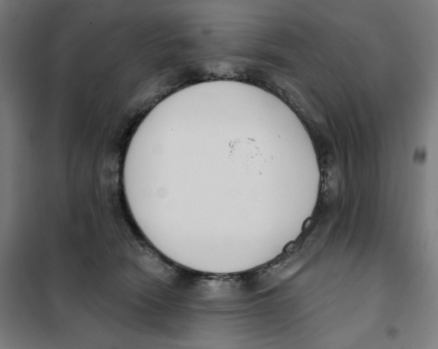 X0000101230466200807251138