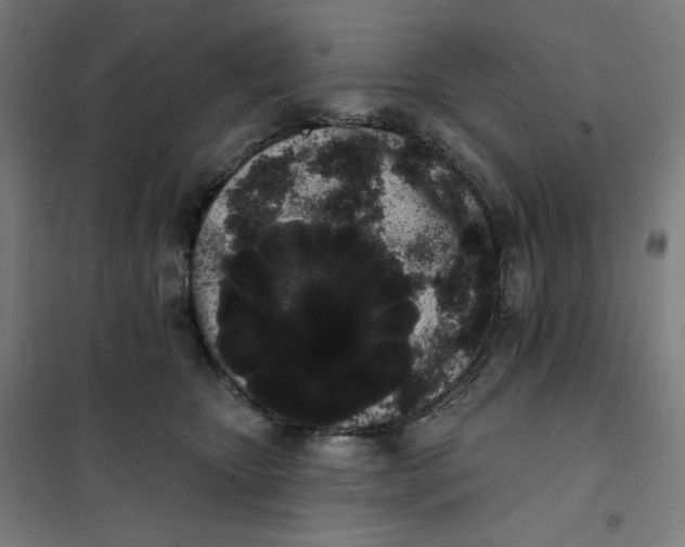 X0000101230467200807251138