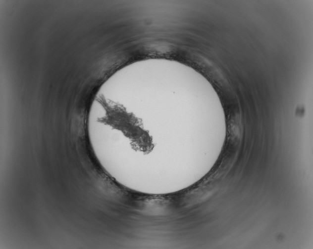 X0000101230468200807251138
