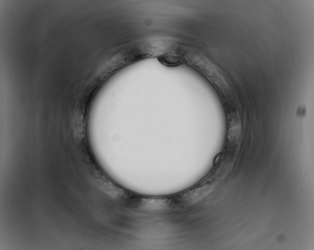X0000101230469200807251138