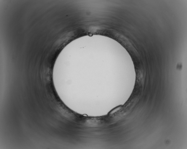 X0000101230470200807251138