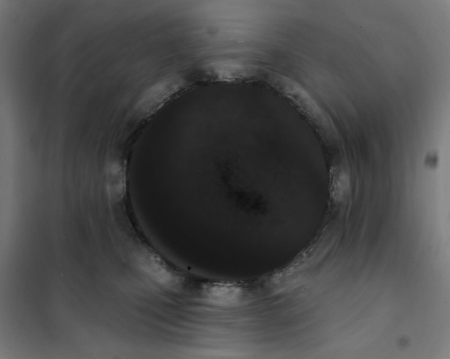 X0000101230471200807251138