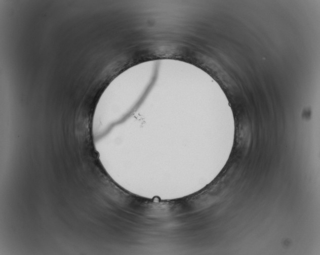 X0000101230473200807251138