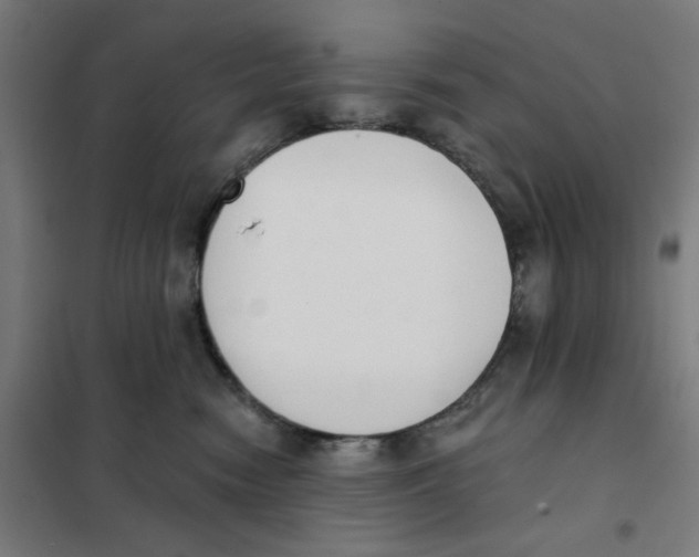 X0000101230474200807251138