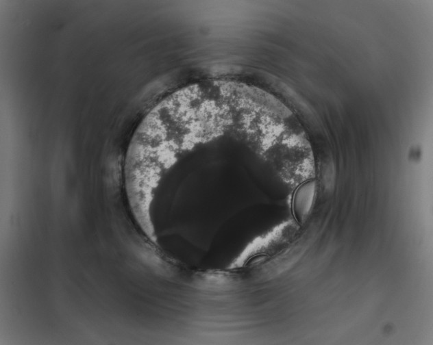 X0000101230475200807251138