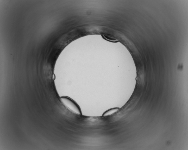 X0000101230477200807251138