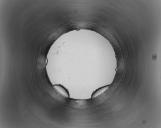 X0000101230478200807251138