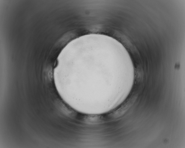 X0000101230479200807251138