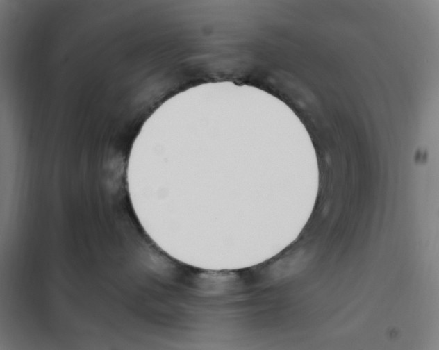 X0000101230480200807251138