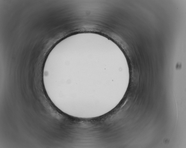 X0000101230481200807251138