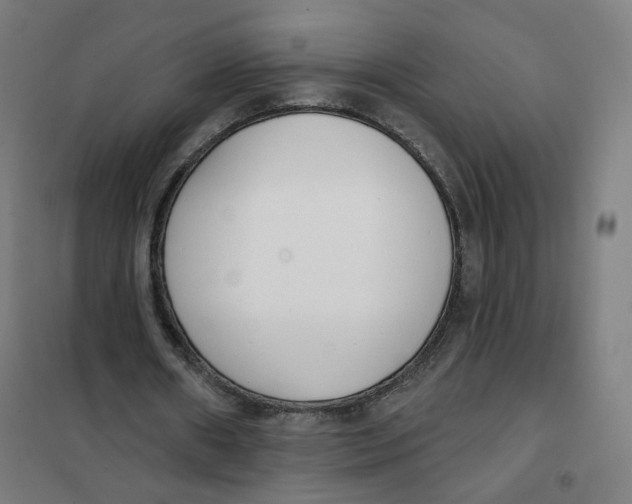 X0000101230482200807251138