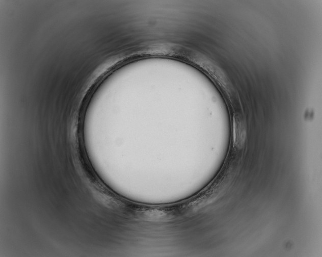 X0000101230483200807251138