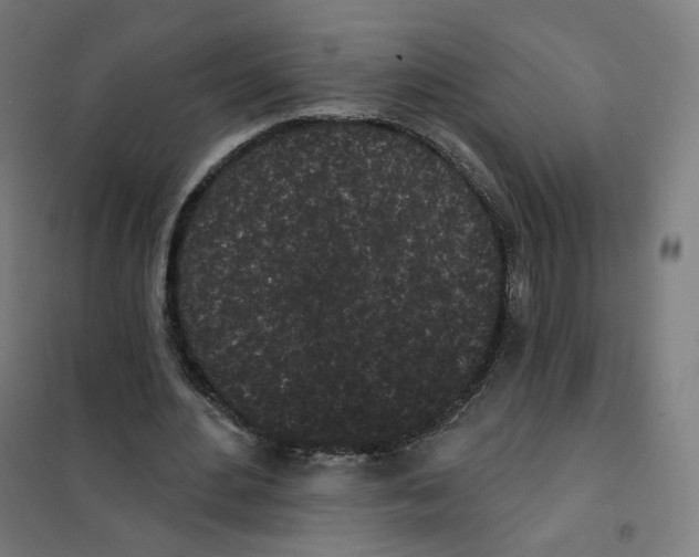 X0000101230484200807251137
