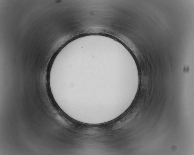 X0000101230485200807251137