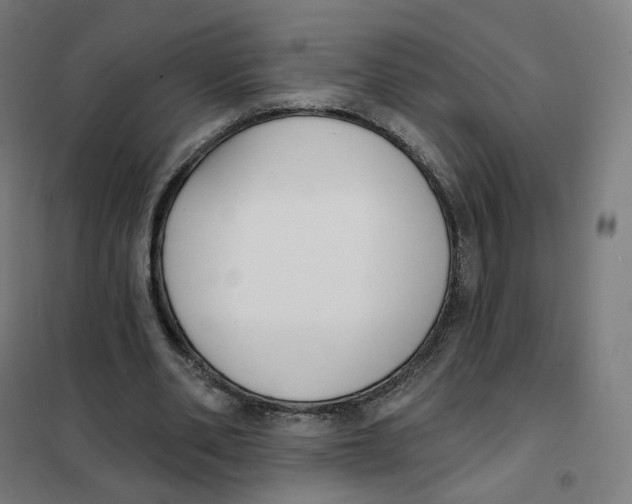 X0000101230486200807251137