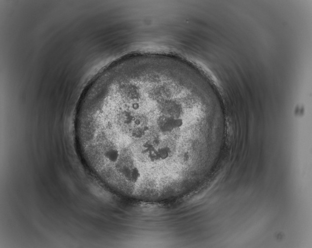 X0000101230487200807251137