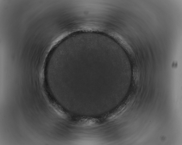 X0000101230488200807251137