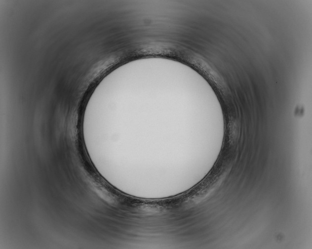 X0000101230490200807251137
