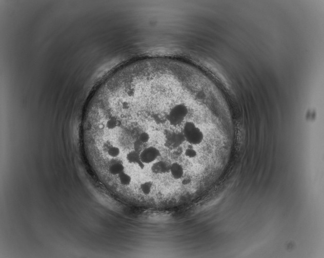 X0000101230491200807251137