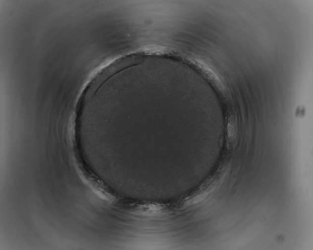 X0000101230492200807251137