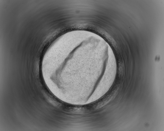 X0000101230493200807251137
