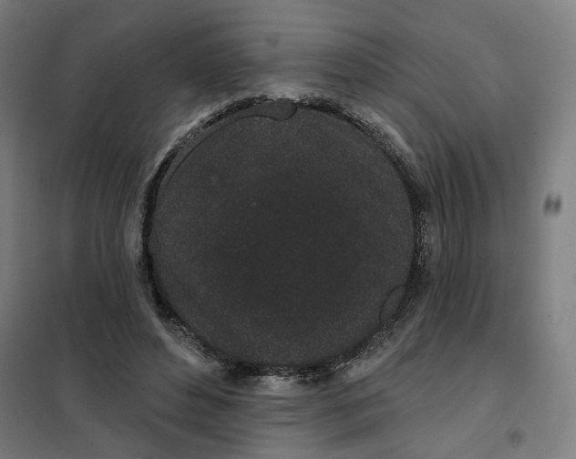 X0000101230496200807251137