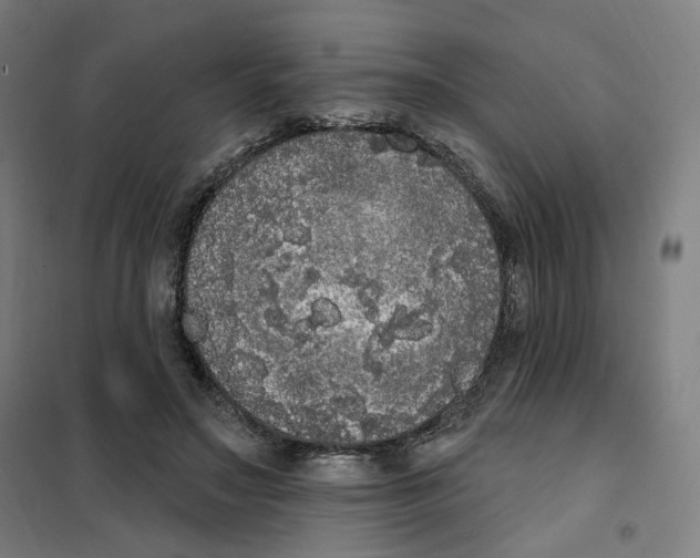 X0000101230499200807251137