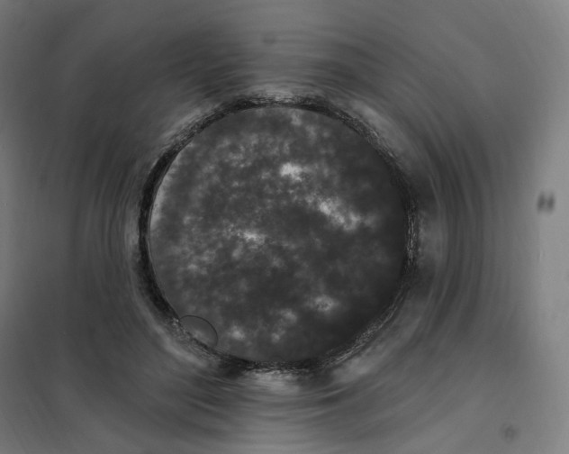 X0000101230500200807251137