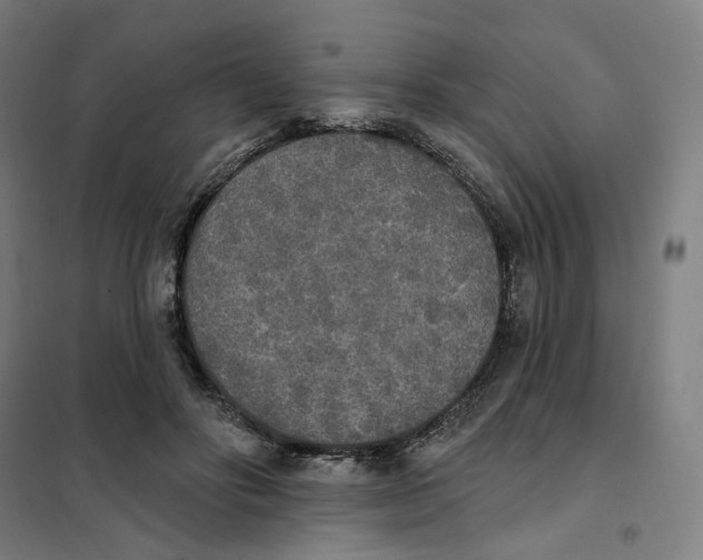 X0000101230502200807251137