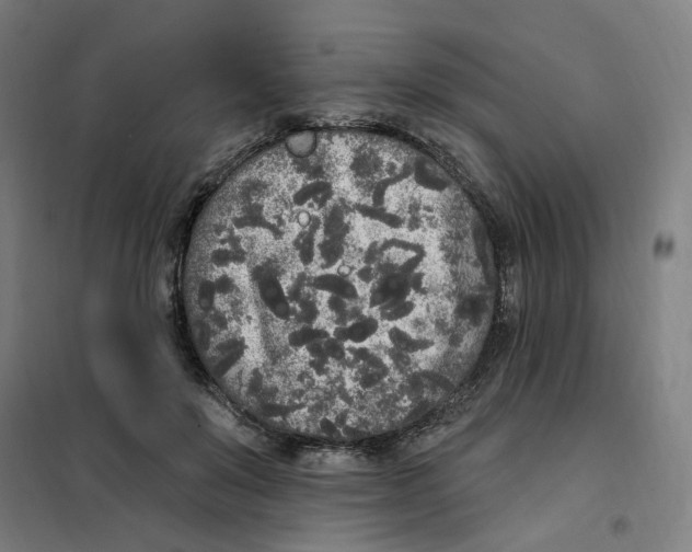 X0000101230503200807251137