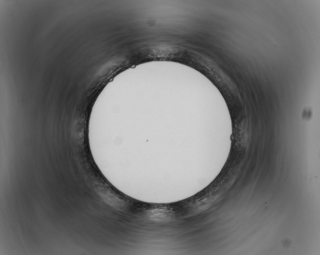 X0000101230505200807251137