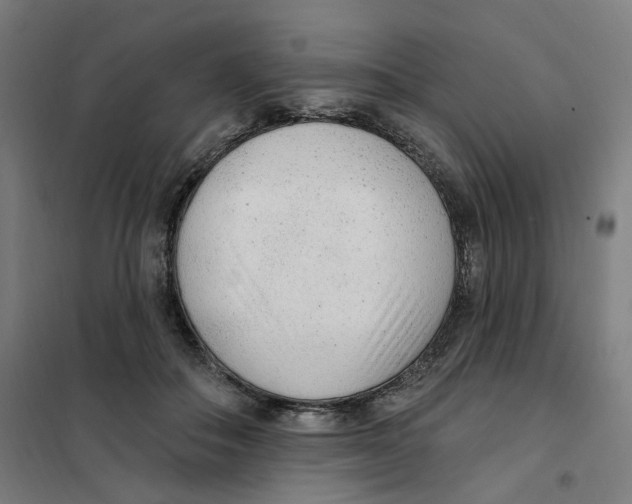X0000101230506200807251137