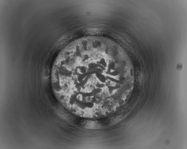 X0000101230507200807251137