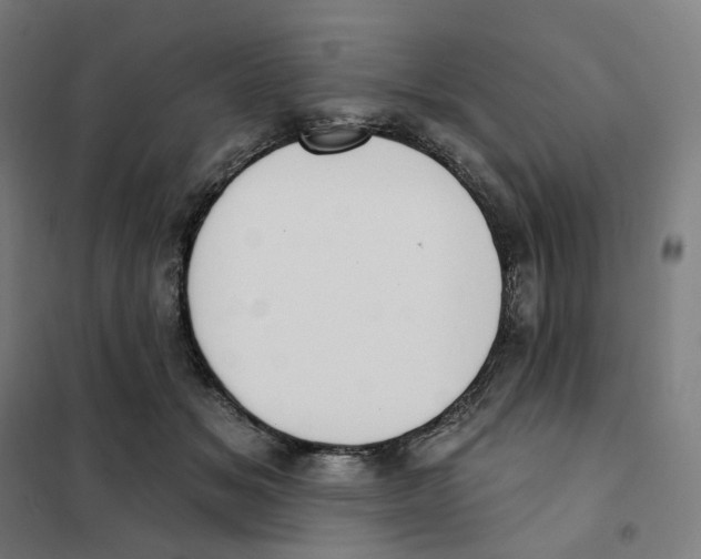 X0000101230509200807251137