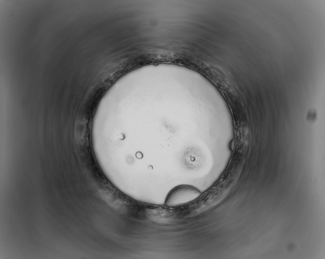 X0000101230511200807251137