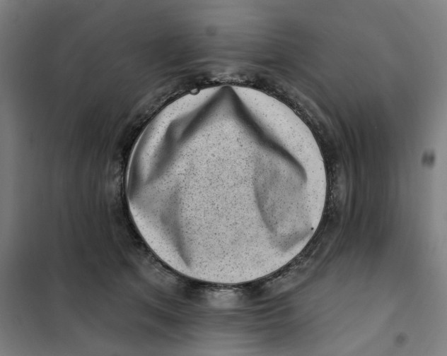 X0000101230513200807251137