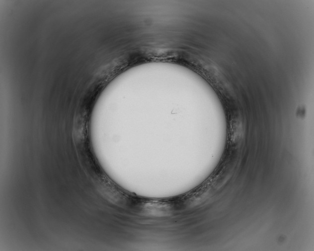 X0000101230515200807251137