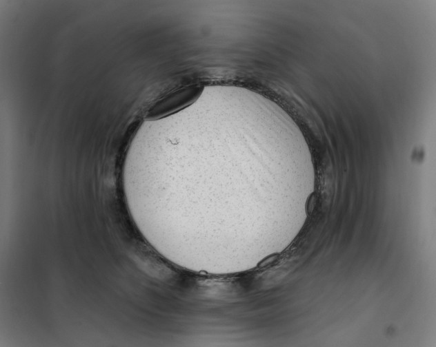 X0000101230516200807251137